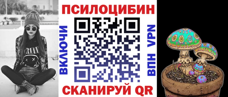 где найти   Находка  Псилоцибиновые грибы Psilocybe 